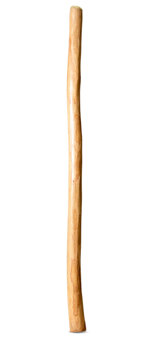Medium Size Natural Finish Didgeridoo (TW1465)